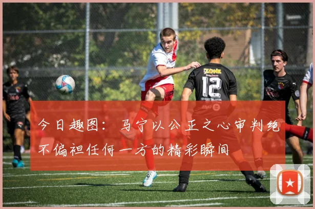 今日趣图：马宁以公正之心审判绝不偏袒任何一方的精彩瞬间