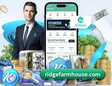 金年会网页版 APP 深度功能