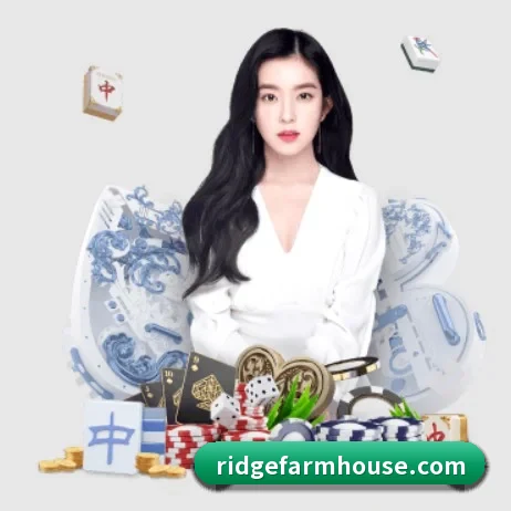 公司成立 - 金年会网页版正式成立,获得国际权威机构颁发的合法运营资质,开启华人在线休闲娱乐新篇章。